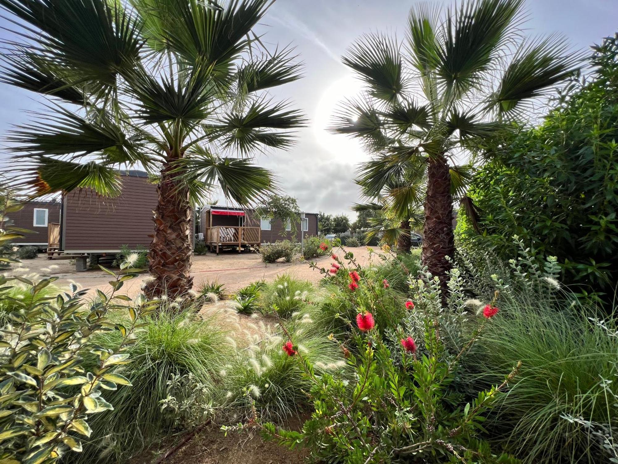 Camping Resort Els Pins Malgrat de Mar Bagian luar foto